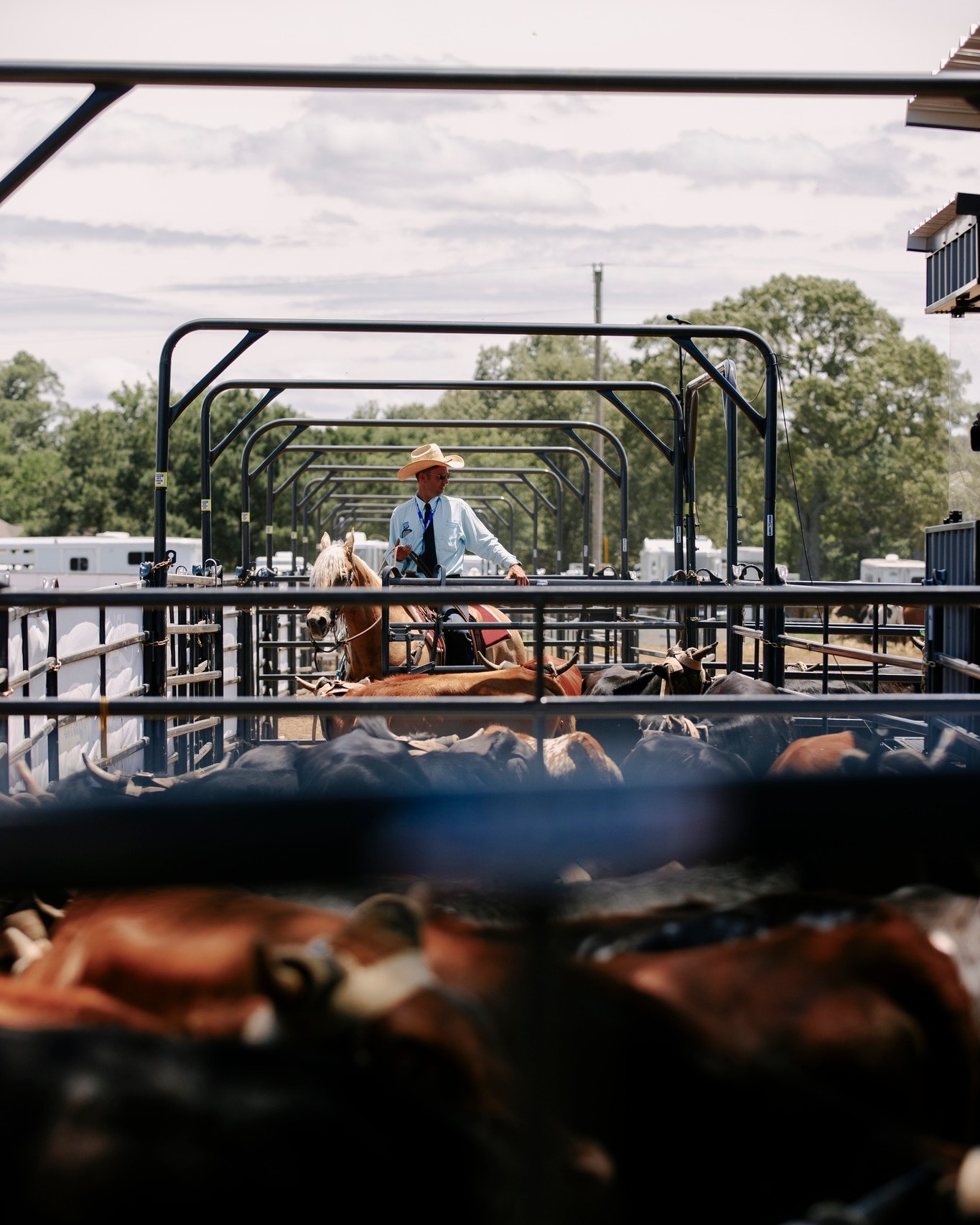 Priefert Return Alley Arena Web.jpg